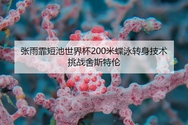 张雨霏短池世界杯200米蝶泳转身技术挑战舍斯特伦