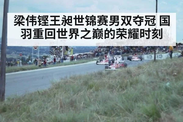 梁伟铿王昶世锦赛男双夺冠 国羽重回世界之巅的荣耀时刻